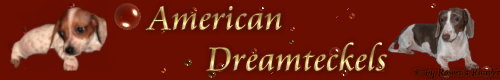 American Dreamteckels